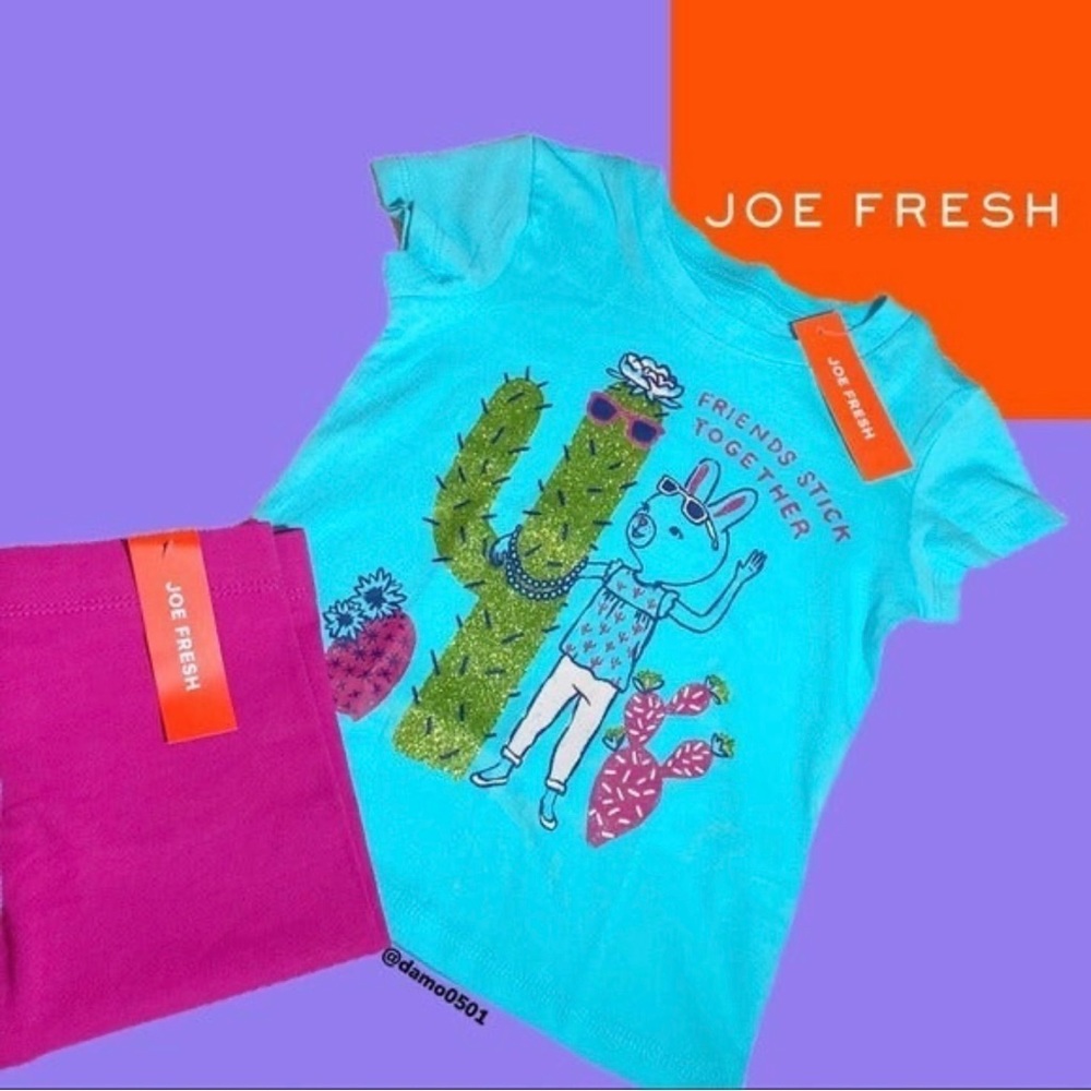 NWT Joe Fresh Toddler 2 Piece Tee & Legging Set